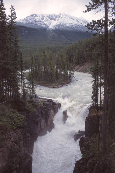 Atabasca Falls