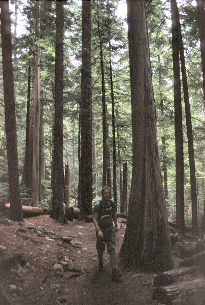 Arjan op de hike bij Cheakamus Lake.