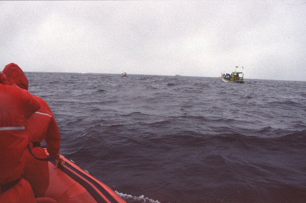 Whale watching vanuit Tofino.