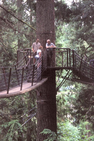 Capilano Suspension Bridge park.